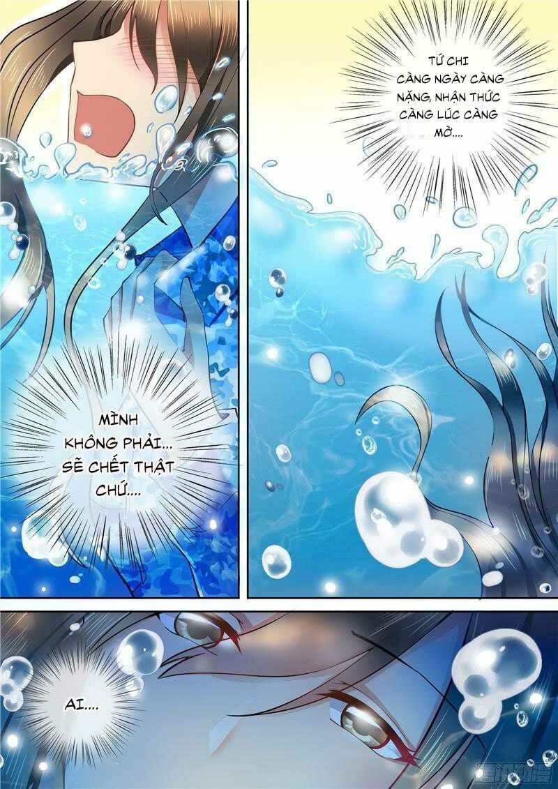 Người Thừa Kế Giá Đáo: Hiệu Thảo Làm Loạn Đủ Chưa?: Chapter 64
