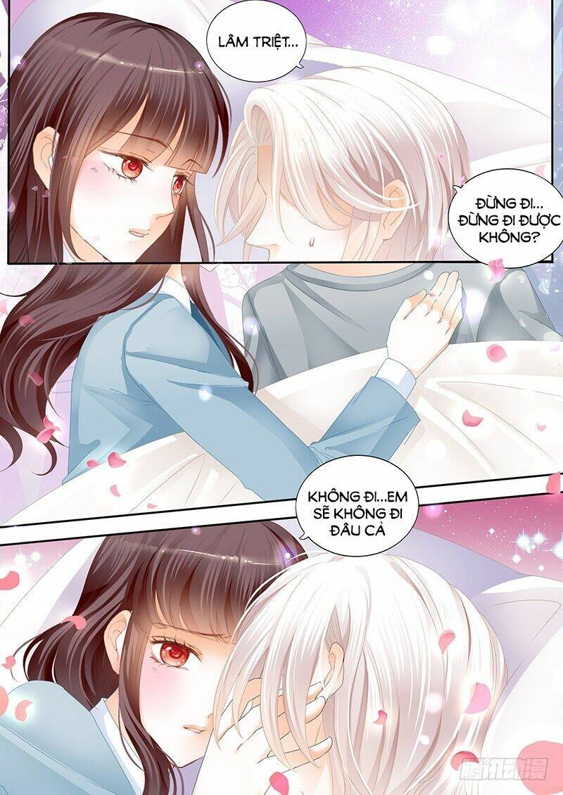 Thiểm Hôn Kiều Thê: Chapter 114