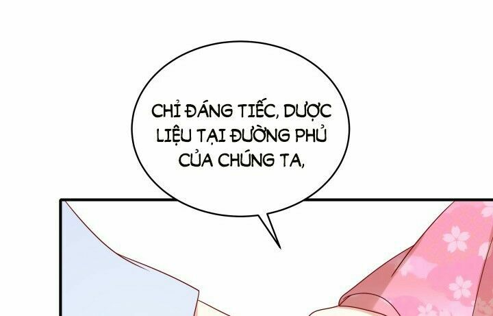 Đô đốc đại nhân sủng thê kí: Chapter 1.7