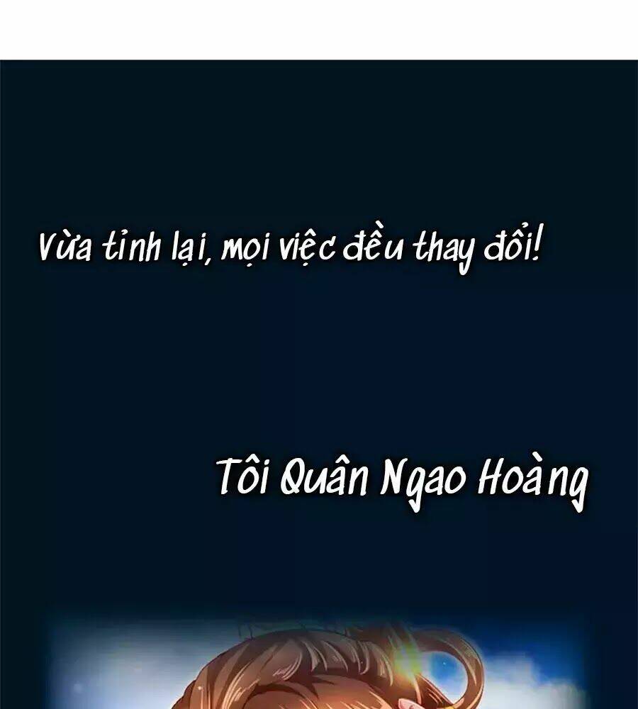 Phụng Lâm Thiên Hạ: Đệ Nhất Mỹ Nữ: Chapter 0