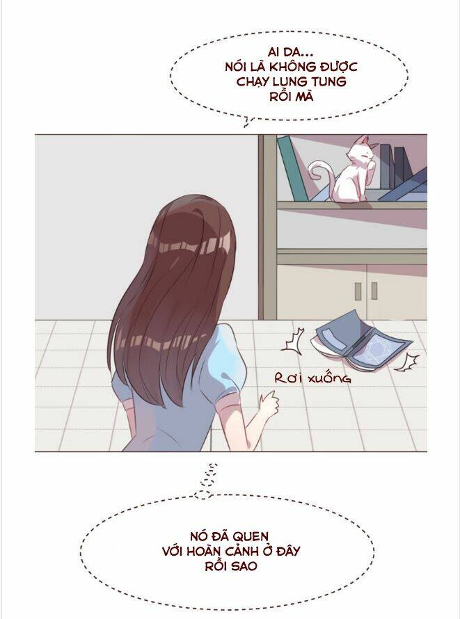 Người Yêu Biến Mất: Chapter 48