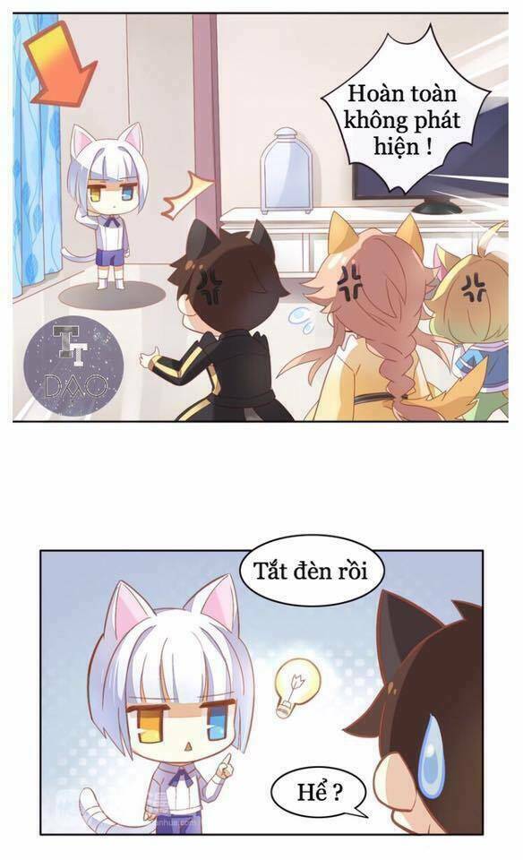 Dưới Móng Vuốt Mèo: Chapter 4