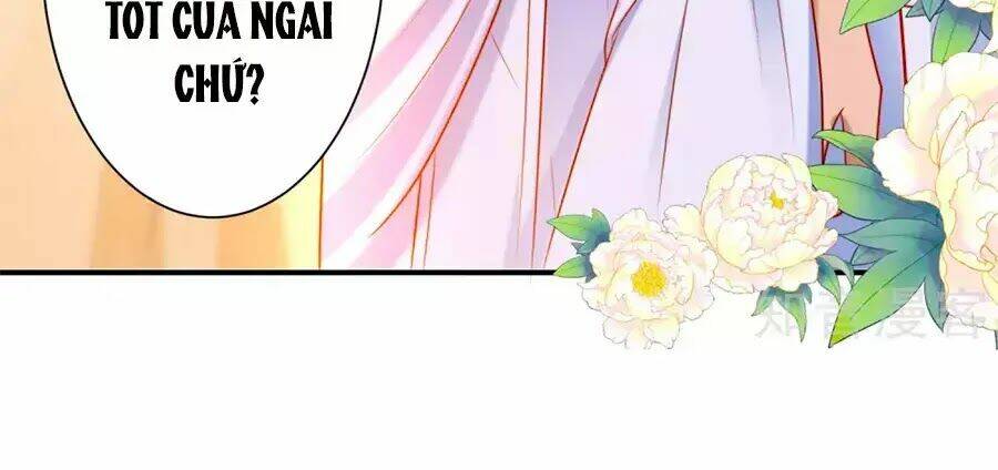 Sủng Hậu Của Vương: Chapter 8