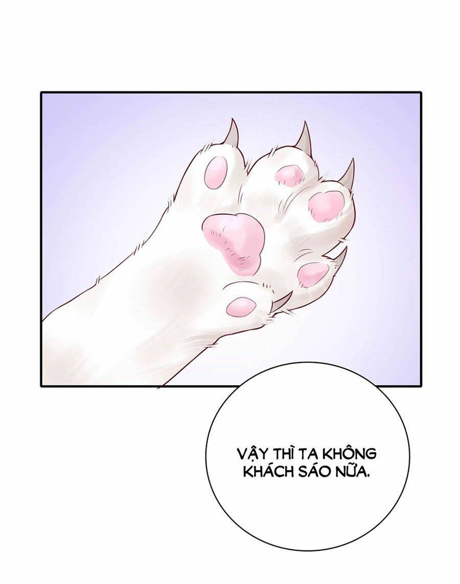 Hẹn Hò Siêu Tốc: Chapter 4