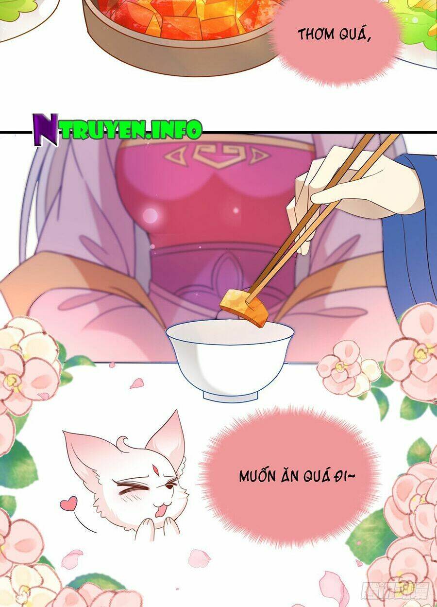Vương Phi Thật Uy Vũ: Chapter 40