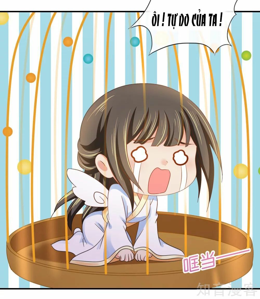 Lãnh Cung Phế Hậu Muốn Nghịch Thiên: Chapter 138