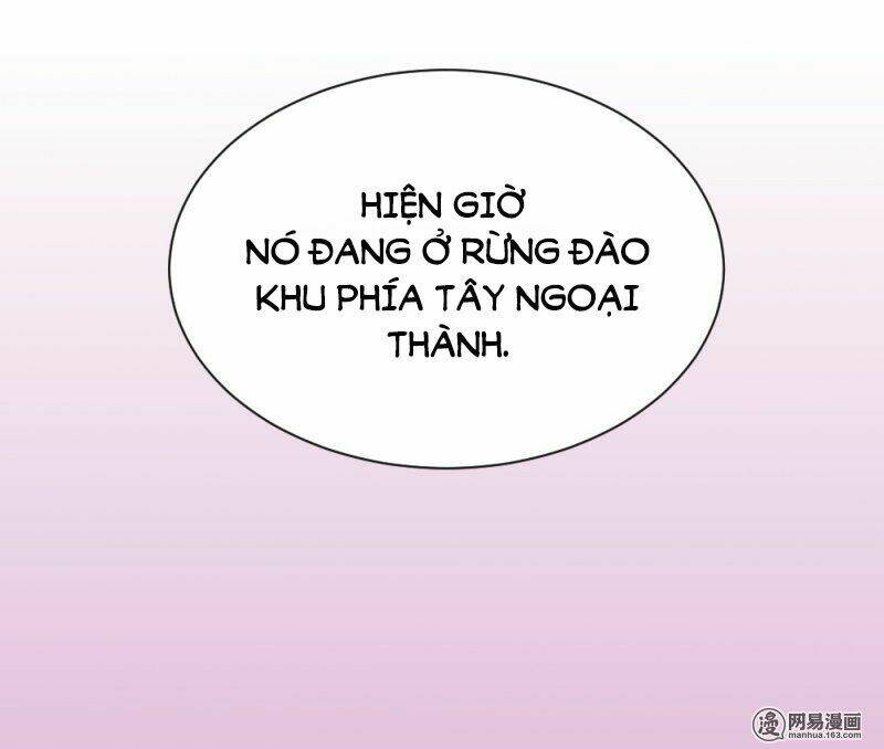 Tuyệt Thế Độc Phi Của Tà Vương: Chapter 74