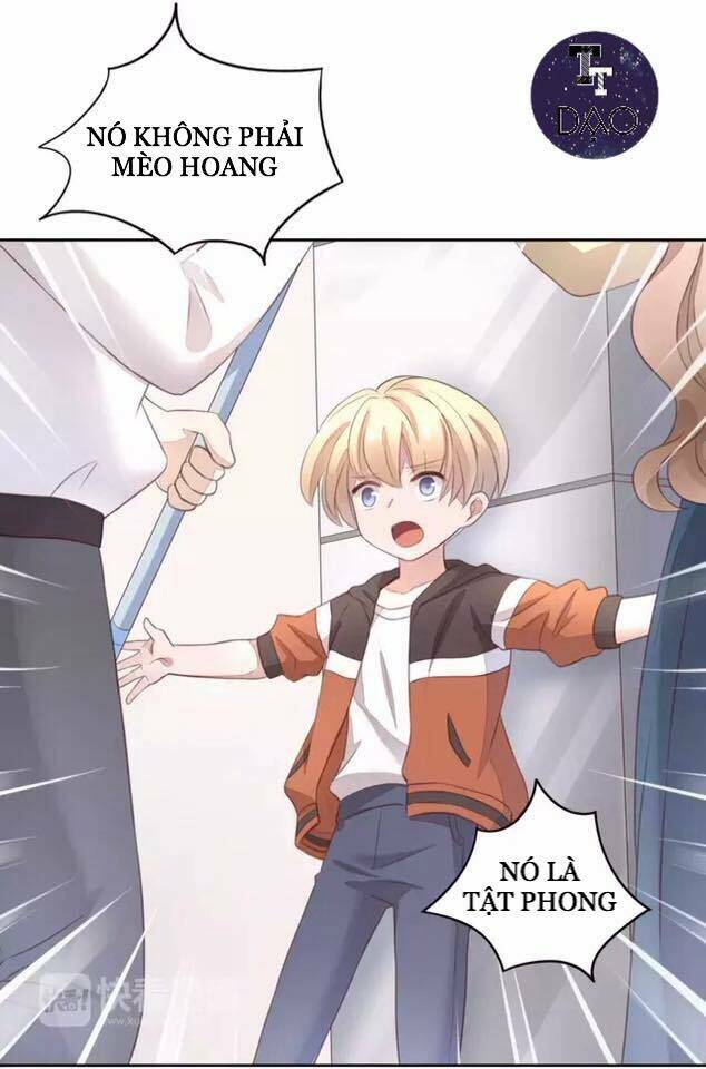 Dưới Móng Vuốt Mèo: Chapter 20
