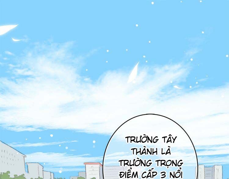 Con Tim Rung Động: Chapter 15