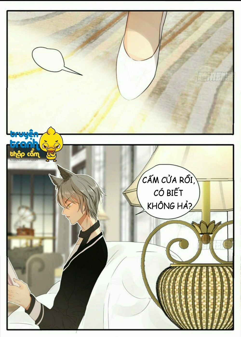 Cứu mạng ! Loài mèo thống trị thế giới rồi !: Chapter 35