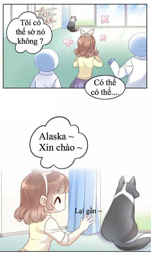 Dưới Móng Vuốt Mèo: Chapter 16