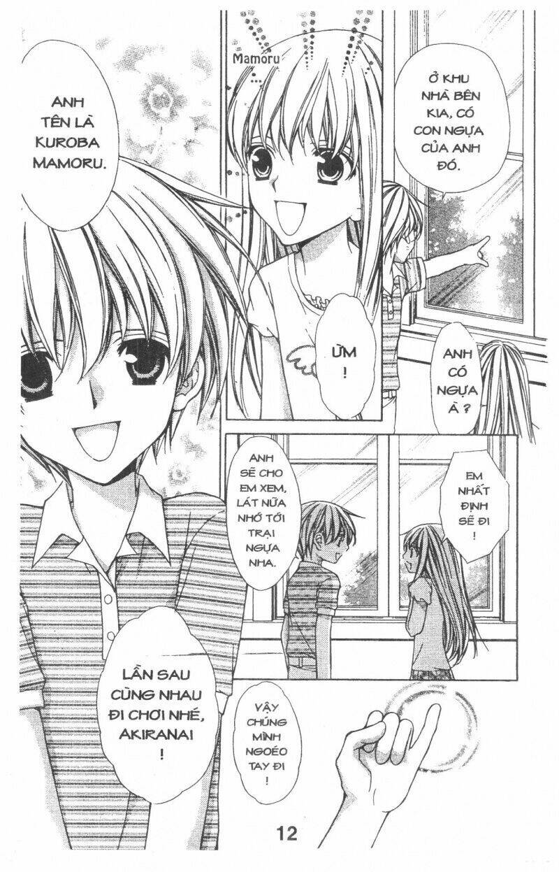 Trái Tim Kim Cương: Chapter 1