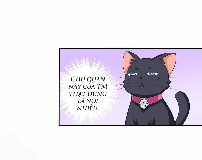 Miêu Vương Tại Thượng: Chapter 4