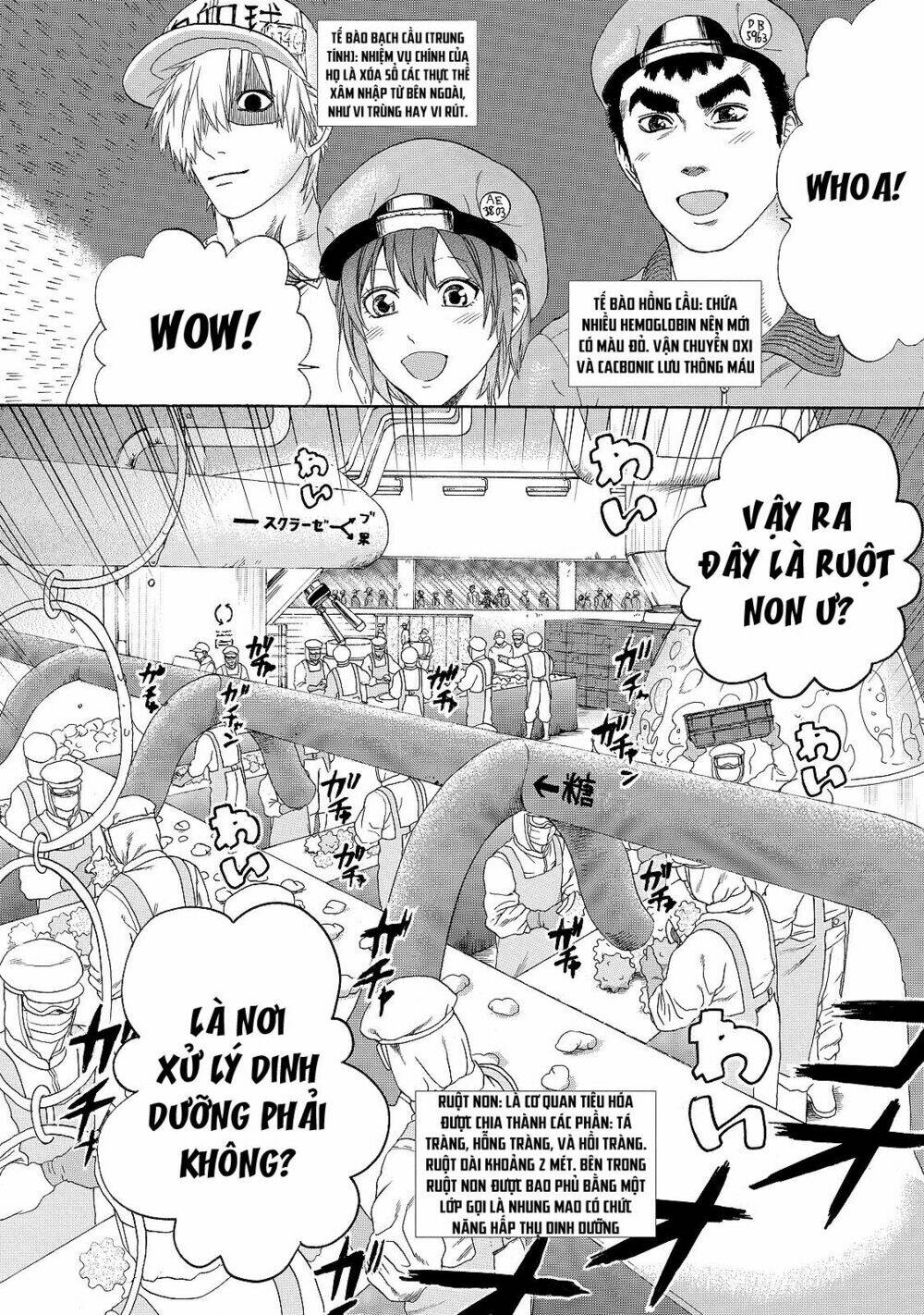 Hataraku Saibou!: Chapter 19