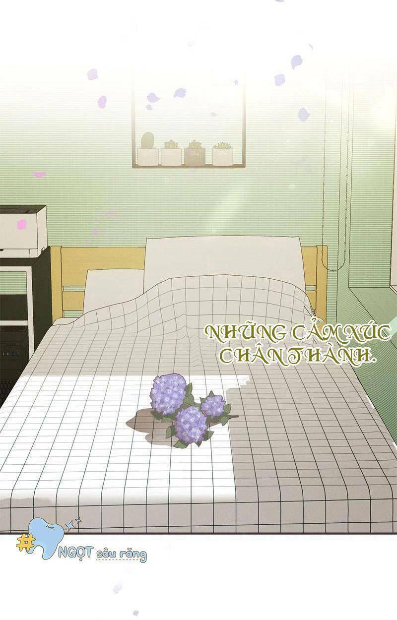Giấc Mộng Đêm Hè: Chapter 6