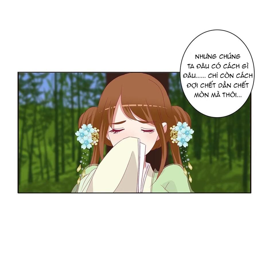 Thông Linh Phi: Chapter 605