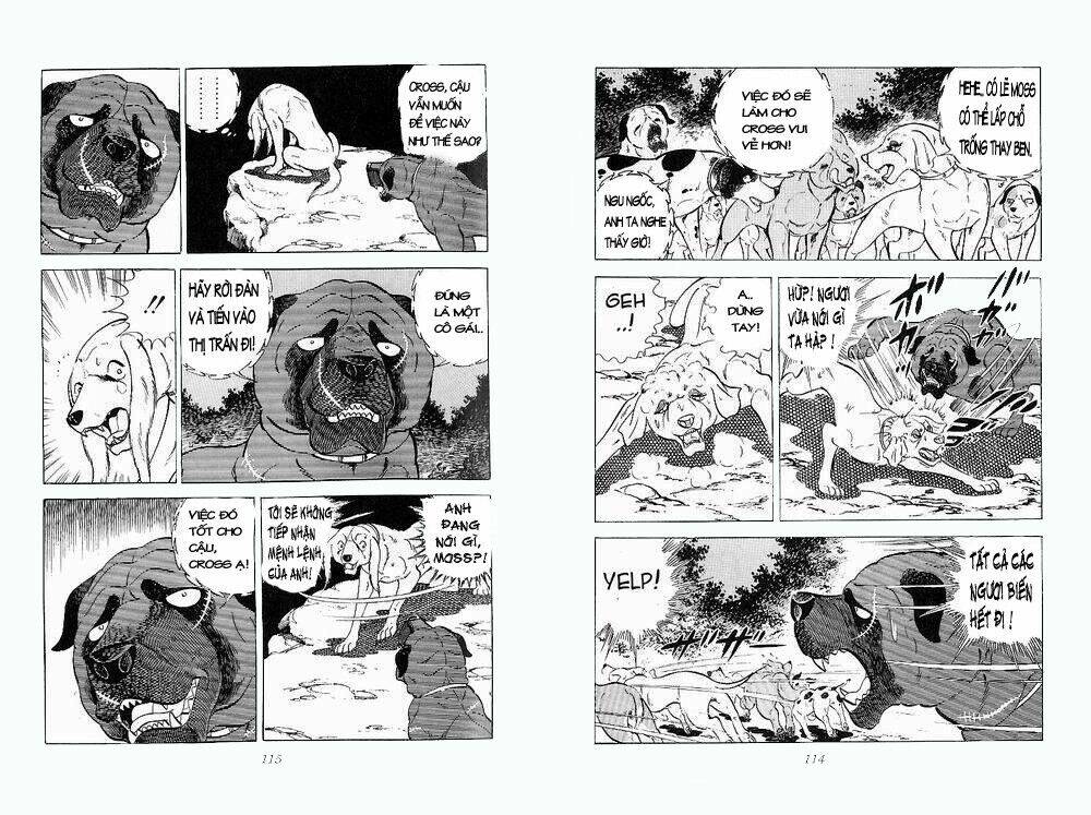 Chú Chó Có Nghĩa - Ginga Nagareboshi Gin: Chapter 25