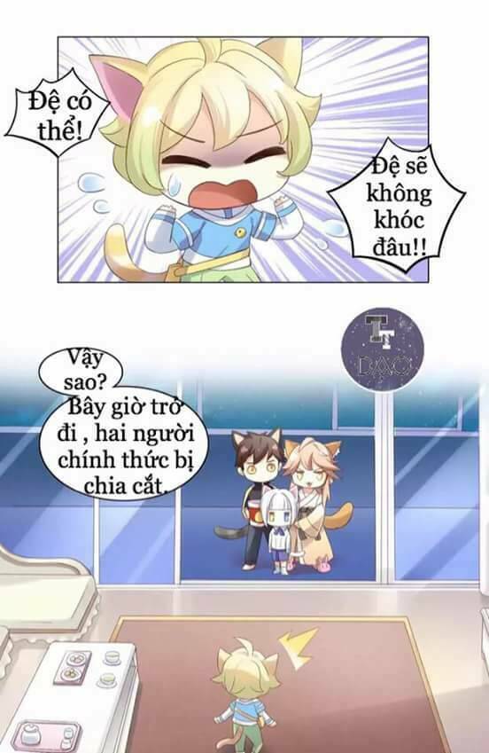 Dưới Móng Vuốt Mèo: Chapter 9