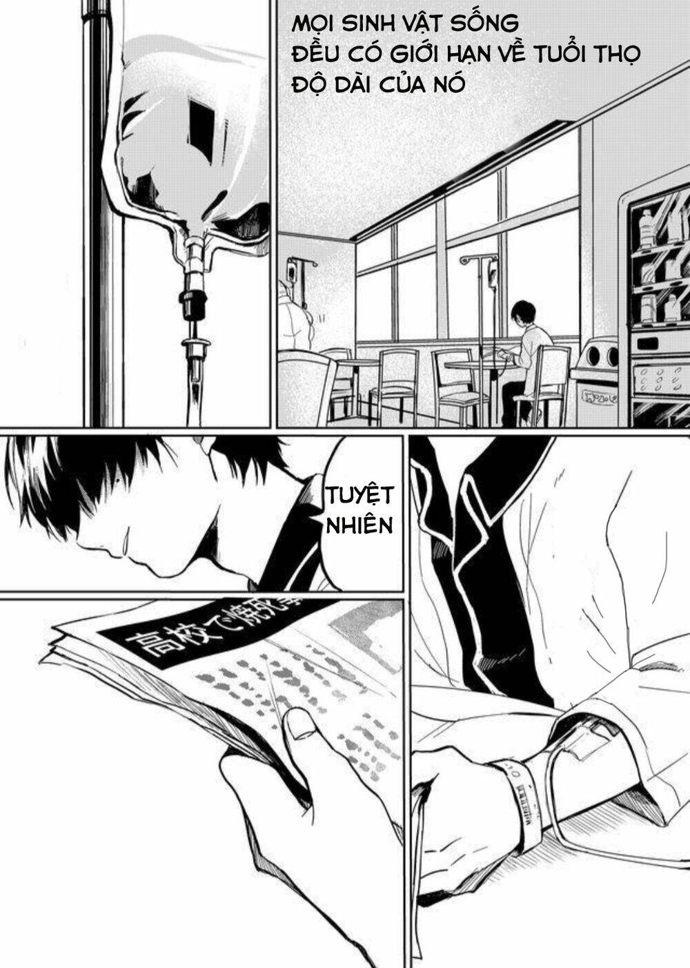 Memento Memori: Chapter 11