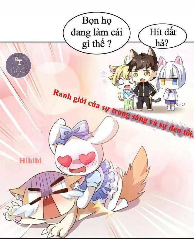 Dưới Móng Vuốt Mèo: Chapter 16