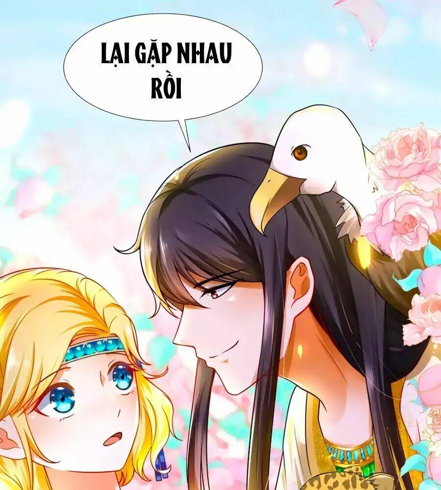 Sủng Hậu Của Vương: Chapter 4