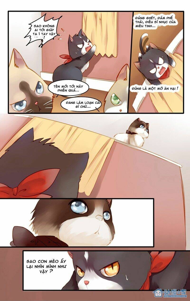 Hằng Mộng Nam Thần: Chapter 22