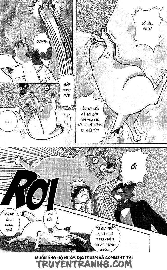 Lời Thì Thầm Từ Trái Tim: Chapter 8