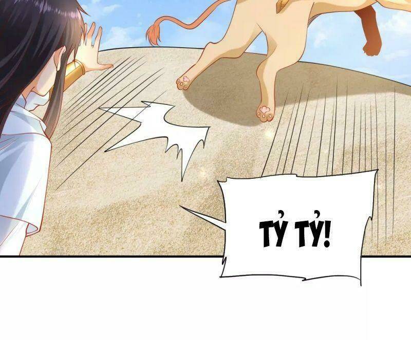 Sủng Hậu Của Vương: Chapter 58