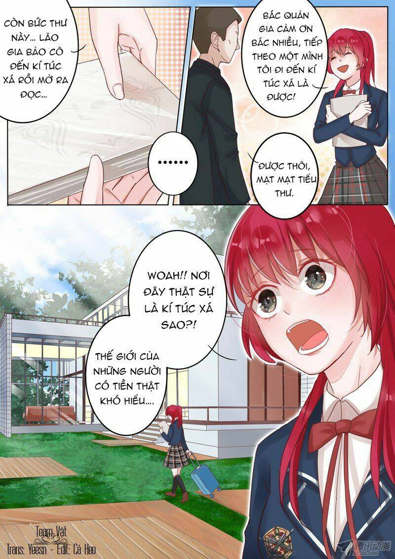 Vương Bài Giáo Thảo: Chapter 4