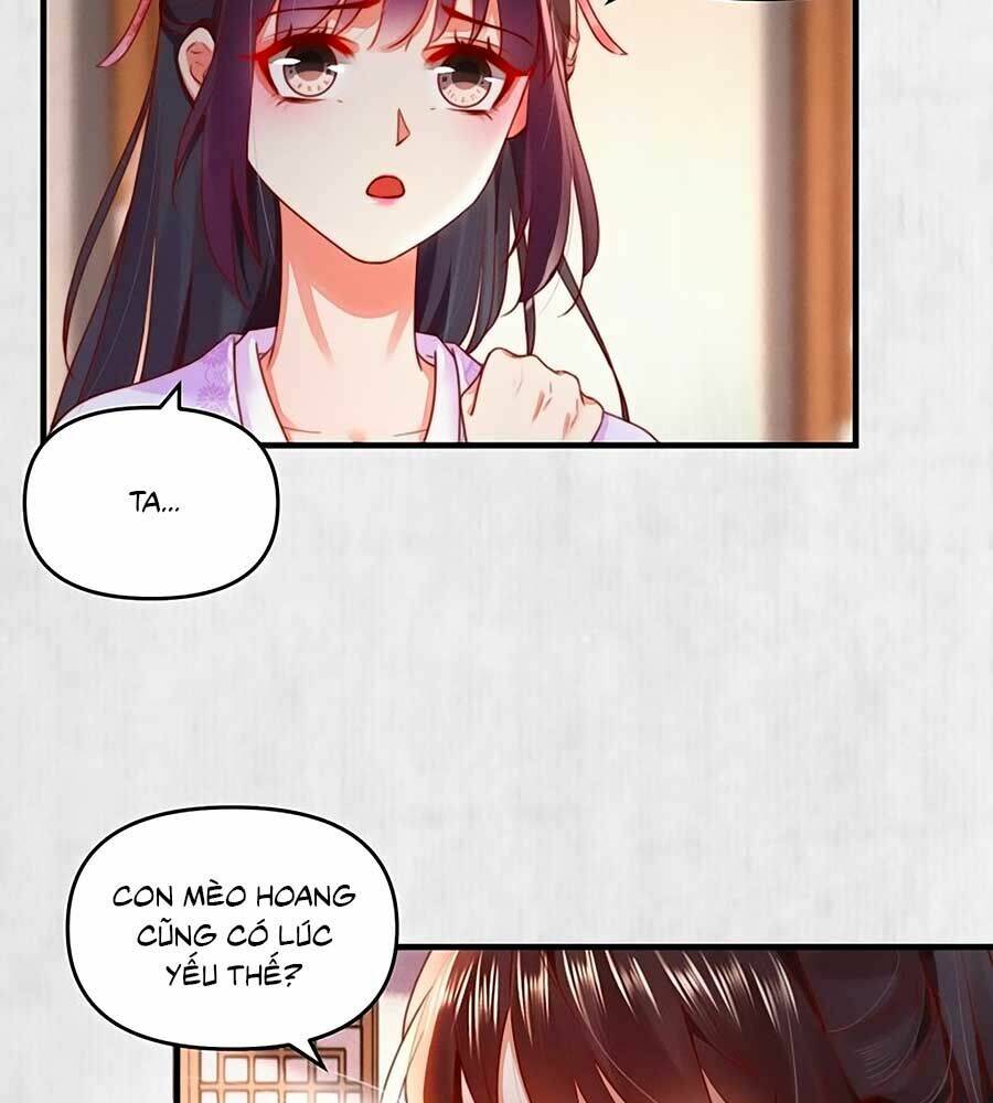 Hoạn Phi Hoàn Triều: Chapter 90