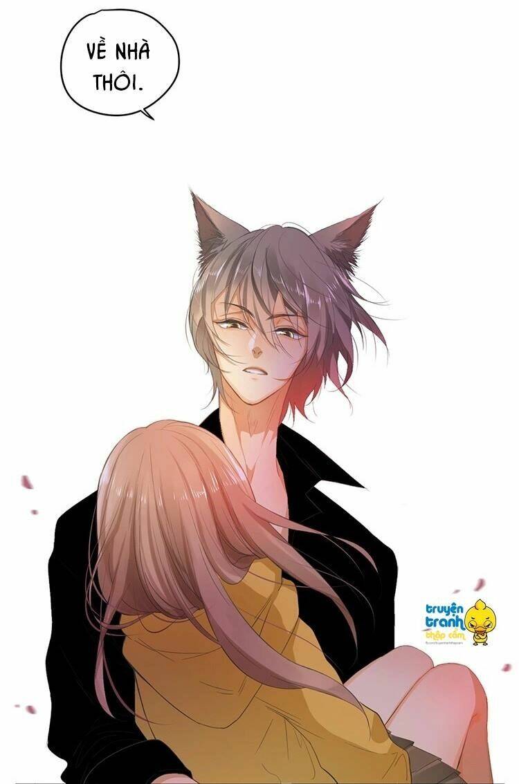 Cứu Mạng! Loài Mèo Thống Trị Thế Giới Rồi!: Chapter 23
