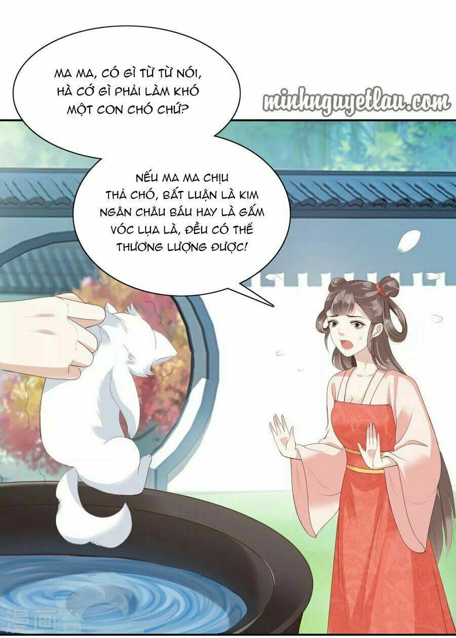 Phú Bà Bạc Tỷ Trong Lãnh Cung: Chapter 11