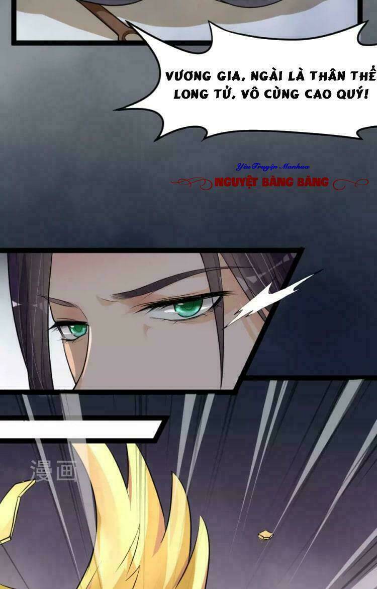 Đế Vương Sợ Vương Phi Muốn Sở Hữu Thiên Hạ: Chapter 5