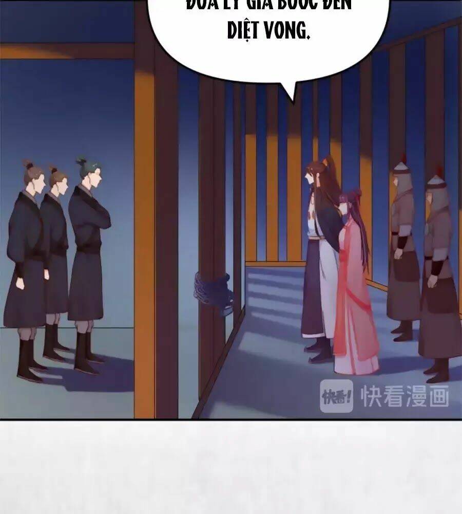 Hoạn Phi Hoàn Triều: Chapter 48