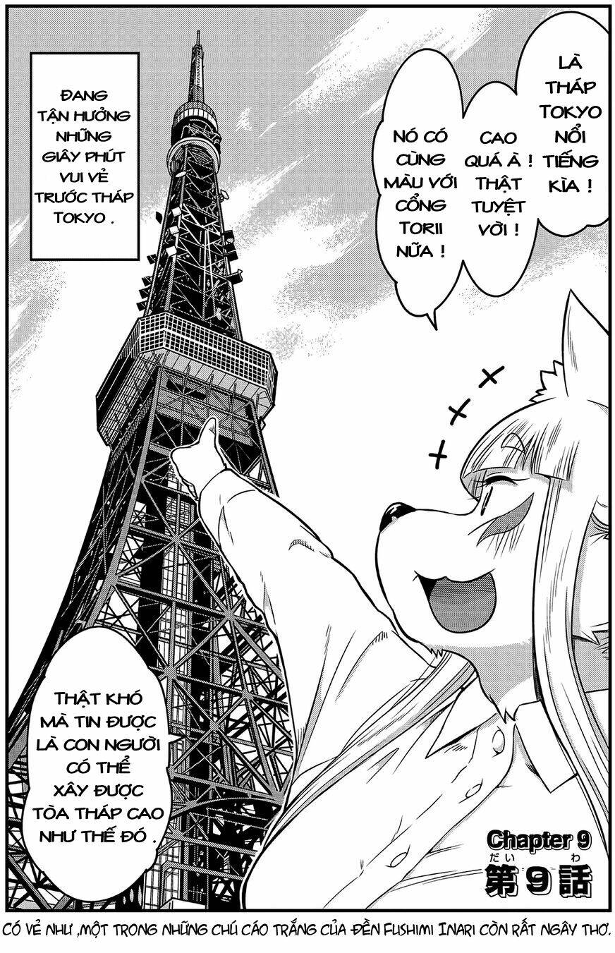 High School Inari Tamamo-Chan: Chapter 9