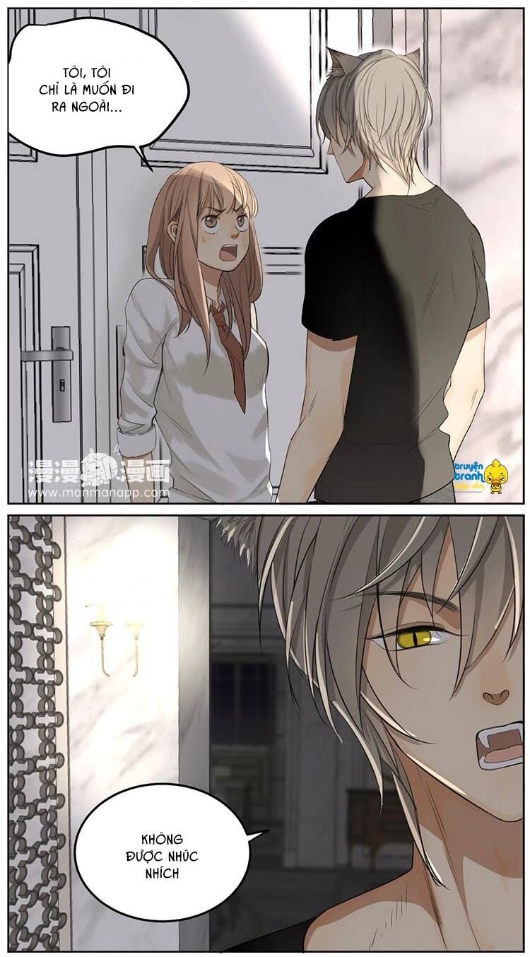 Cứu mạng ! Loài mèo thống trị thế giới rồi !: Chapter 7