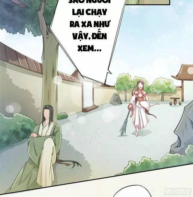 Tuyệt Thế Luyện Đan Sư: Chapter 17