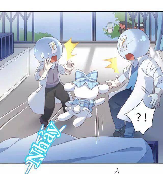 Dưới Móng Vuốt Mèo: Chapter 15