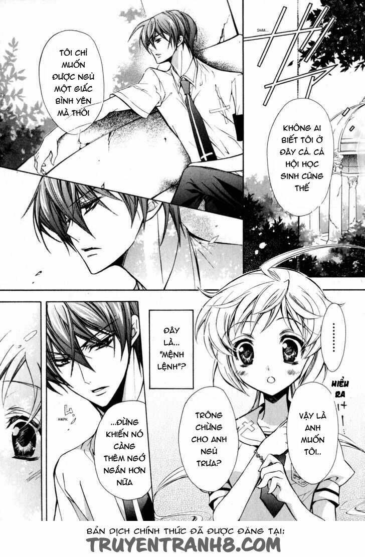 S.L.H (Stray Love Hearts): Chapter 12