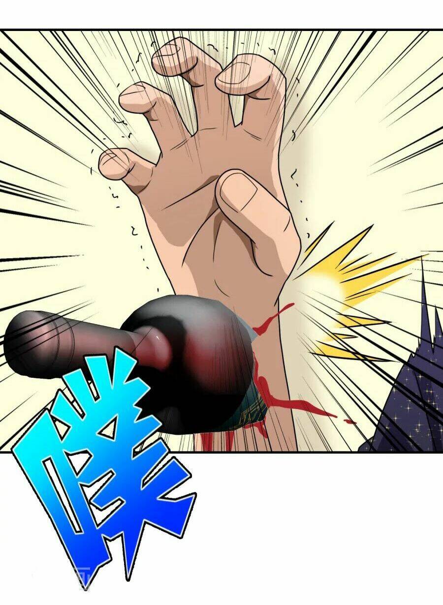 Hộ Hoa Cao Thủ Tại Đô Thị: Chapter 91