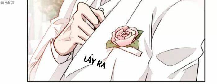 Trọng Sinh Noãn Hôn Khinh Sủng Thê: Chapter 7