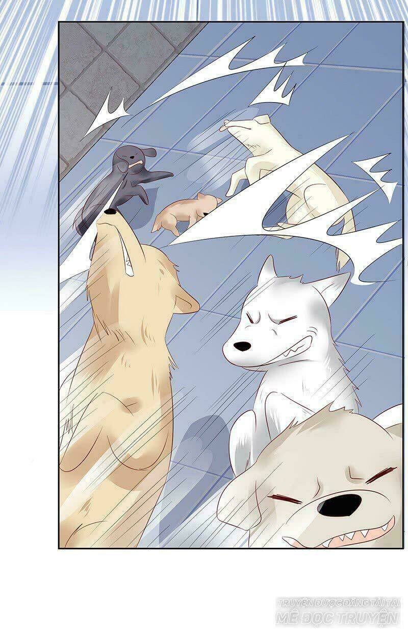 Băng Sơn Học Trưởng Không Được Chọc: Chapter 13