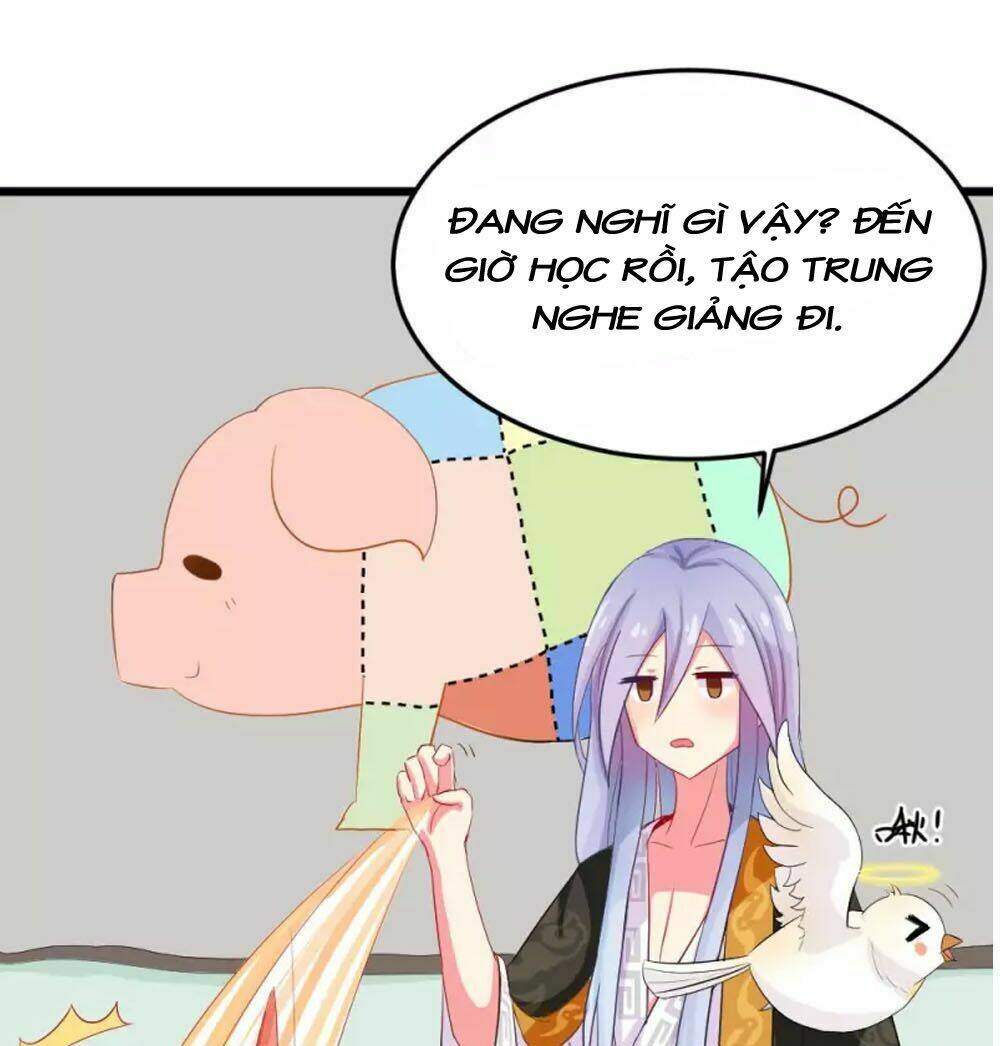 Đệ Tử Của Ta Là Heo: Chapter 5