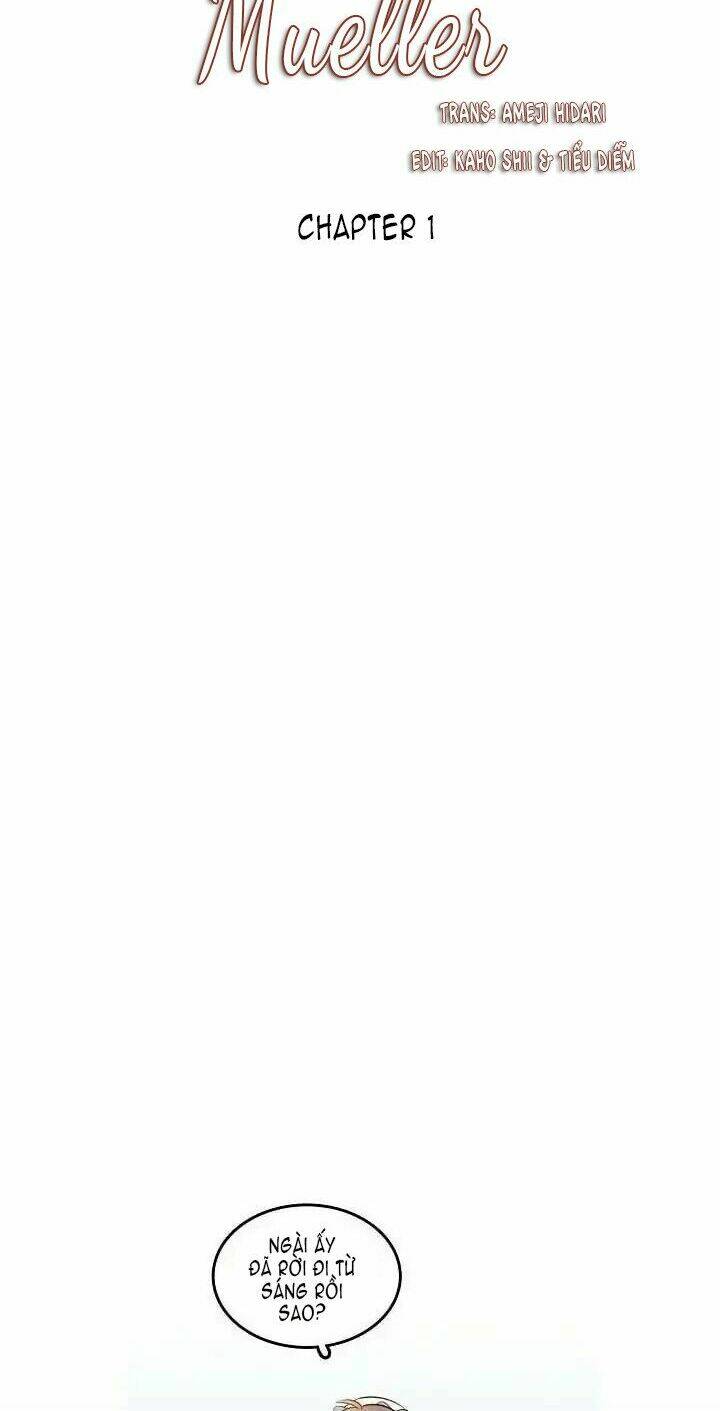 Điều Tra Viên Của Mueller: Chapter 1