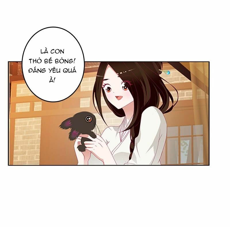 Thông Linh Phi: Chapter 431