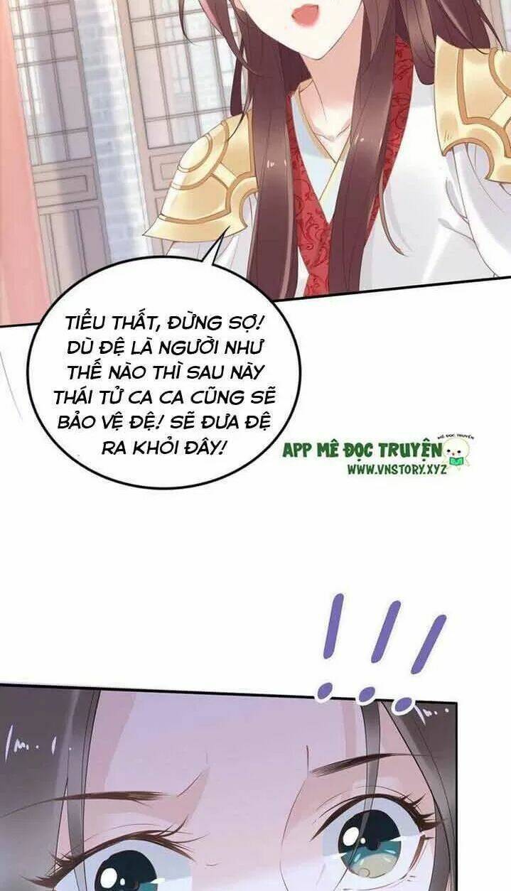 Nhất Sinh Nhất Thế Tiếu Thương Khung: Chapter 41