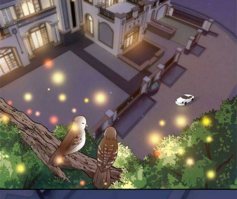 Tổng Tài, Tránh Xa Tôi Ra: Chapter 38