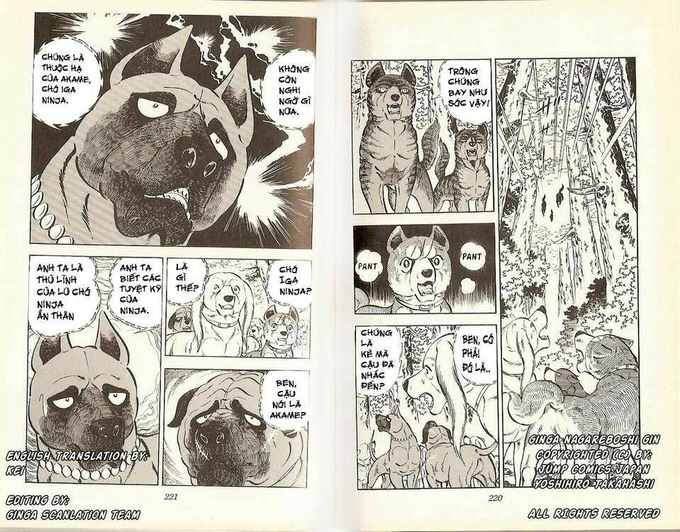Chú Chó Có Nghĩa - Ginga Nagareboshi Gin: Chapter 17