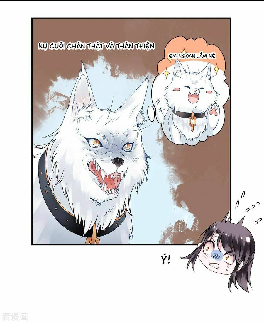 Hoàng Phi 9000 Tuổi: Chapter 74