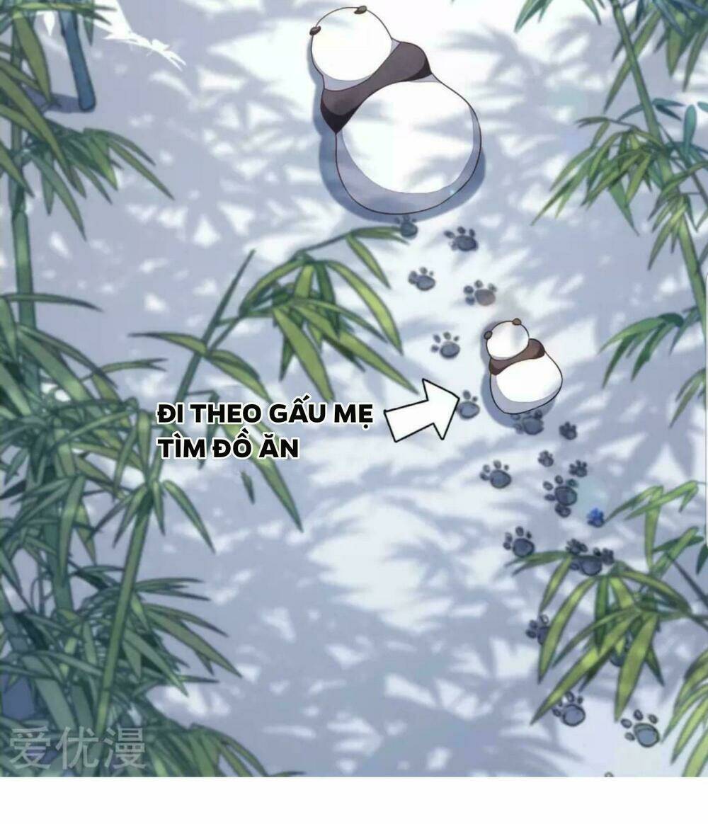 Xuyên Về Cổ Đại Làm Quốc Bảo: Chapter 4